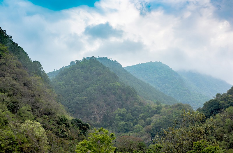 10insights2019-4-Bhutan