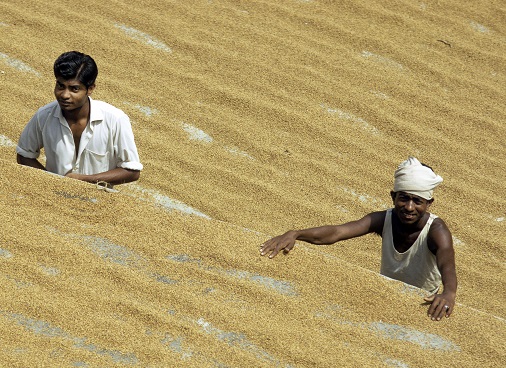 10insights2019-7-FarmersDryingRice