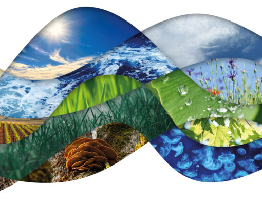 10MustKnows24_Cover_nur Bild 10MustKnows24_Cover_nur Bild