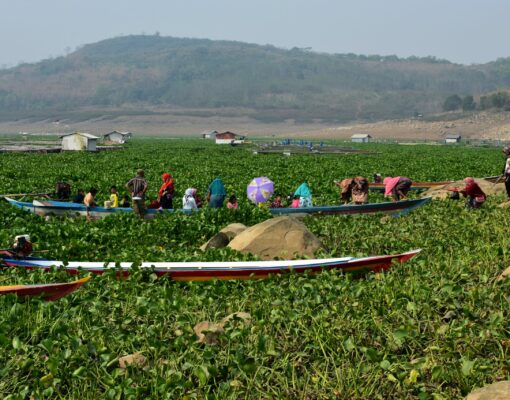 eka-p-amdela-EvNCrKfSR0g-unsplash eka-p-amdela-EvNCrKfSR0g-unsplash