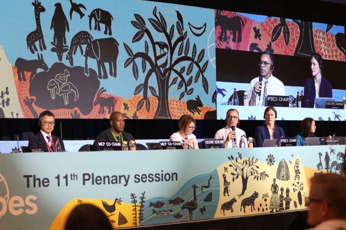 ENB_IPBES11_10Dec24_KiaraWorth-54