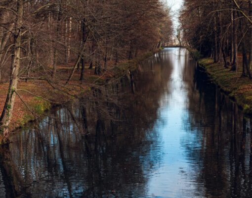 eric-bolliger-sAPAkDFEhhk-unsplash