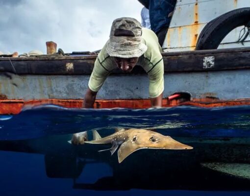 Indonesian-fisherman