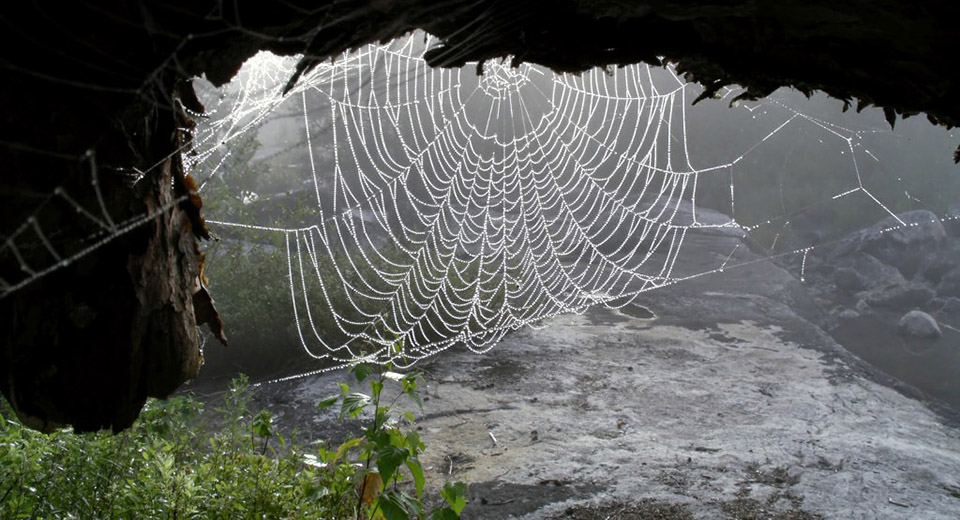 spider_web_sylvan_mably_via_flickr.jpg spider_web_sylvan_mably_via_flickr.jpg