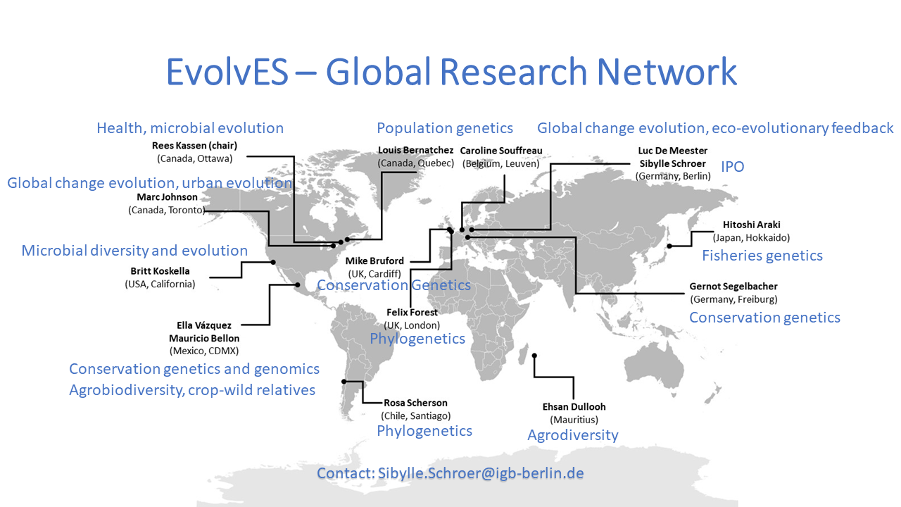 EvolvES Global Research Network