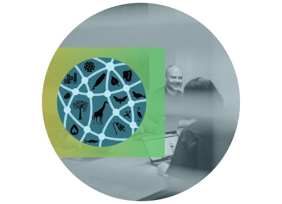 fe-2column-horizontal-peg